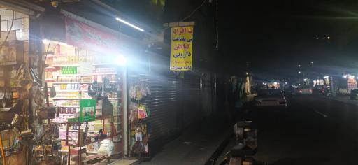 عکس گیاهان دارویی پودینه