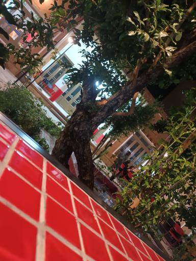 عکس گالری هنری رد وال