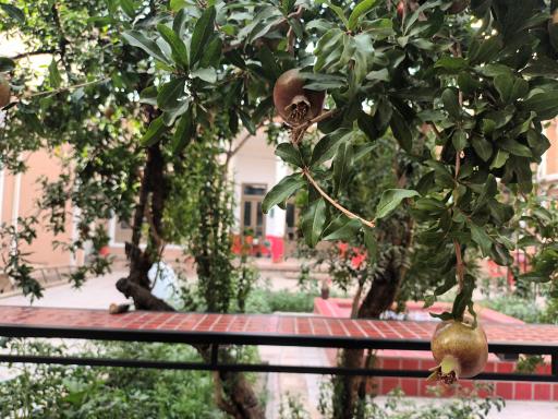 عکس گالری هنری رد وال