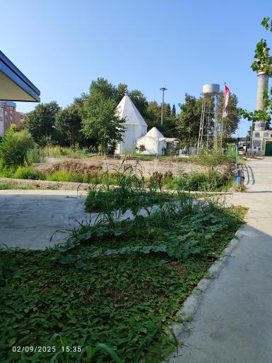 عکس امامزاده سید محمد