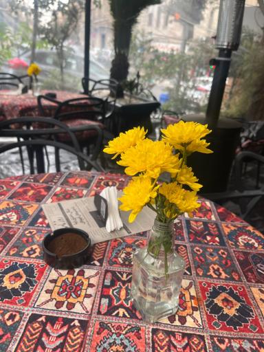 عکس کافه رستوران تیکال