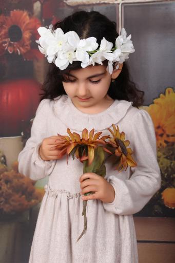 آتلیه فیلم و عکس ستیا