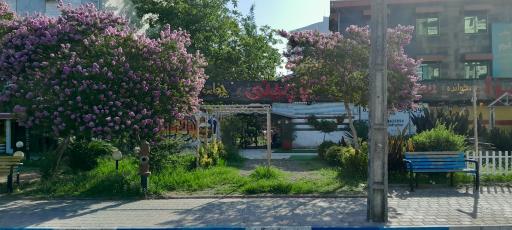 عکس فست‌ فود پدرخوانده