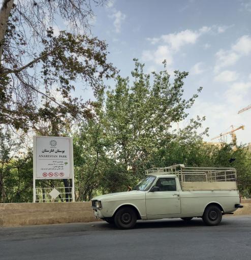 عکس بوستان انارستان