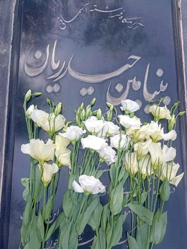 عکس مزار بنیامین حیدریان