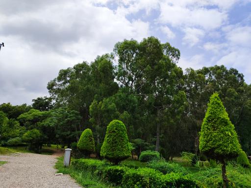 عکس پارک ملی