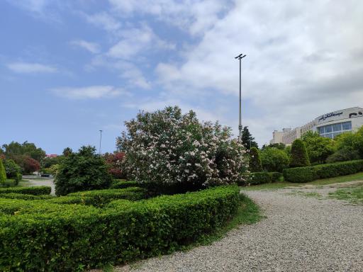 عکس پارک ملی