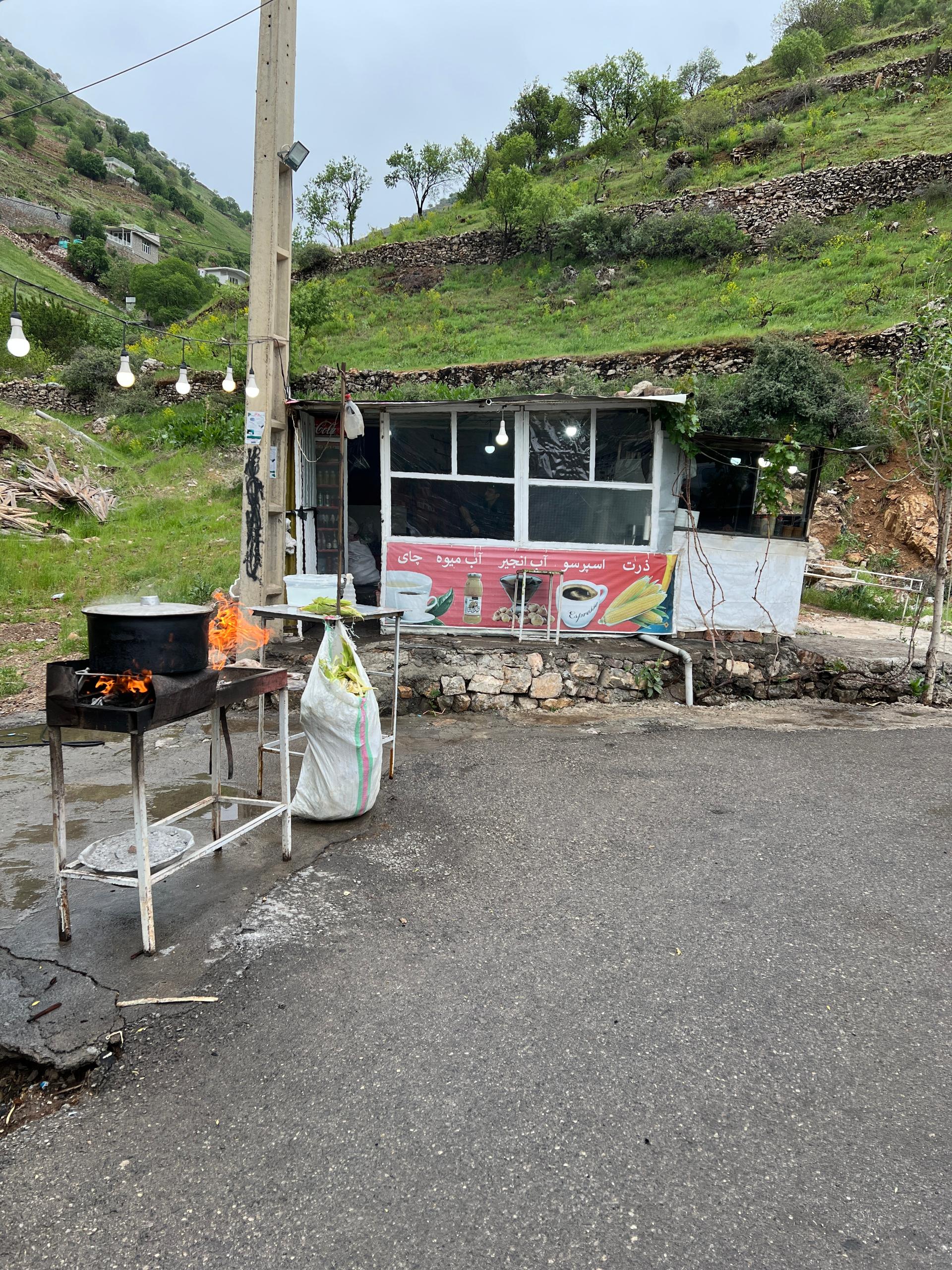 عکس ذرت تنوری آژوان