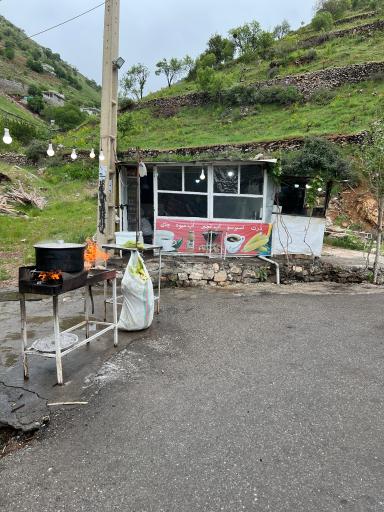 عکس ذرت تنوری آژوان