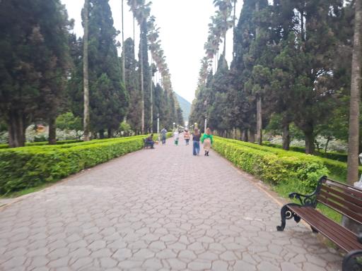 عکس پارک ملی