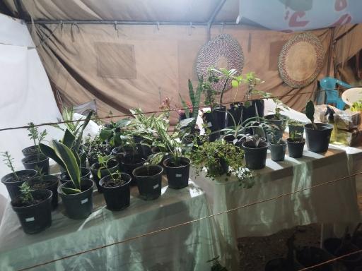 عکس پنجشنبه بازار میناب