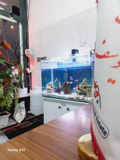 عکس مشاورین املاک یوسف 