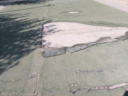 عکس زمین چمن