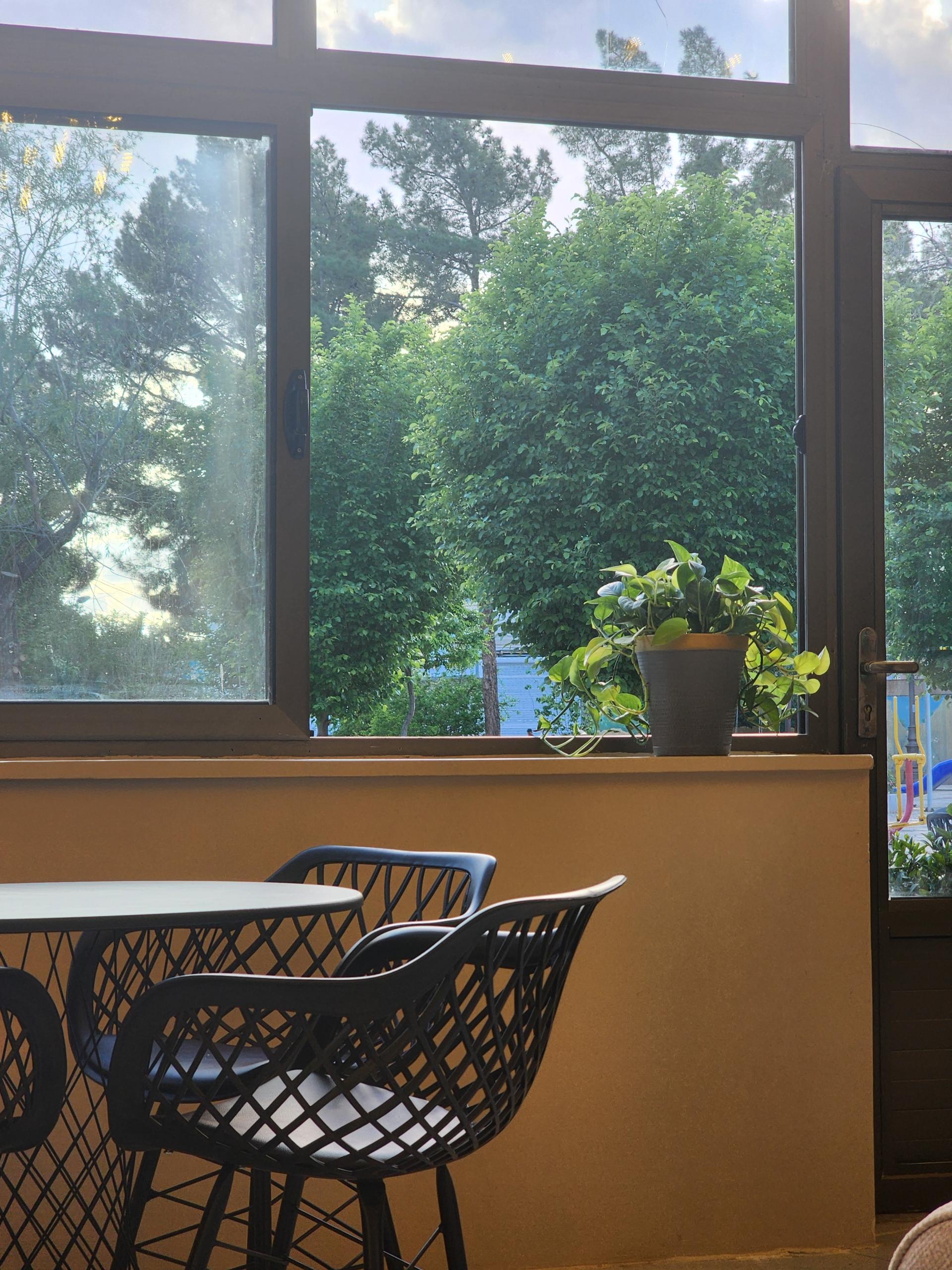 عکس کافه راف