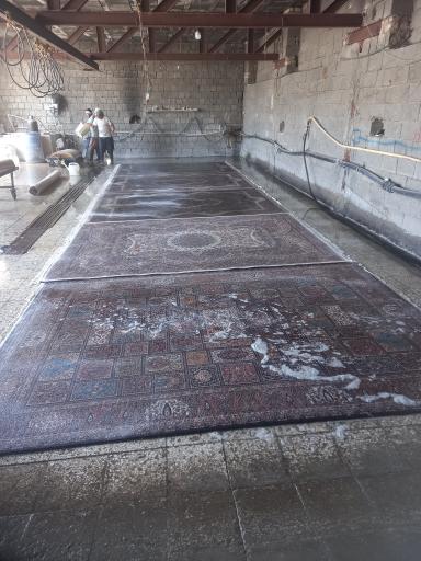 قالیشویی پاک 