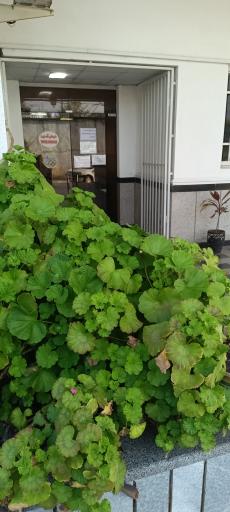 عکس مهمانسرای المپیک تربیت بدنی رشت