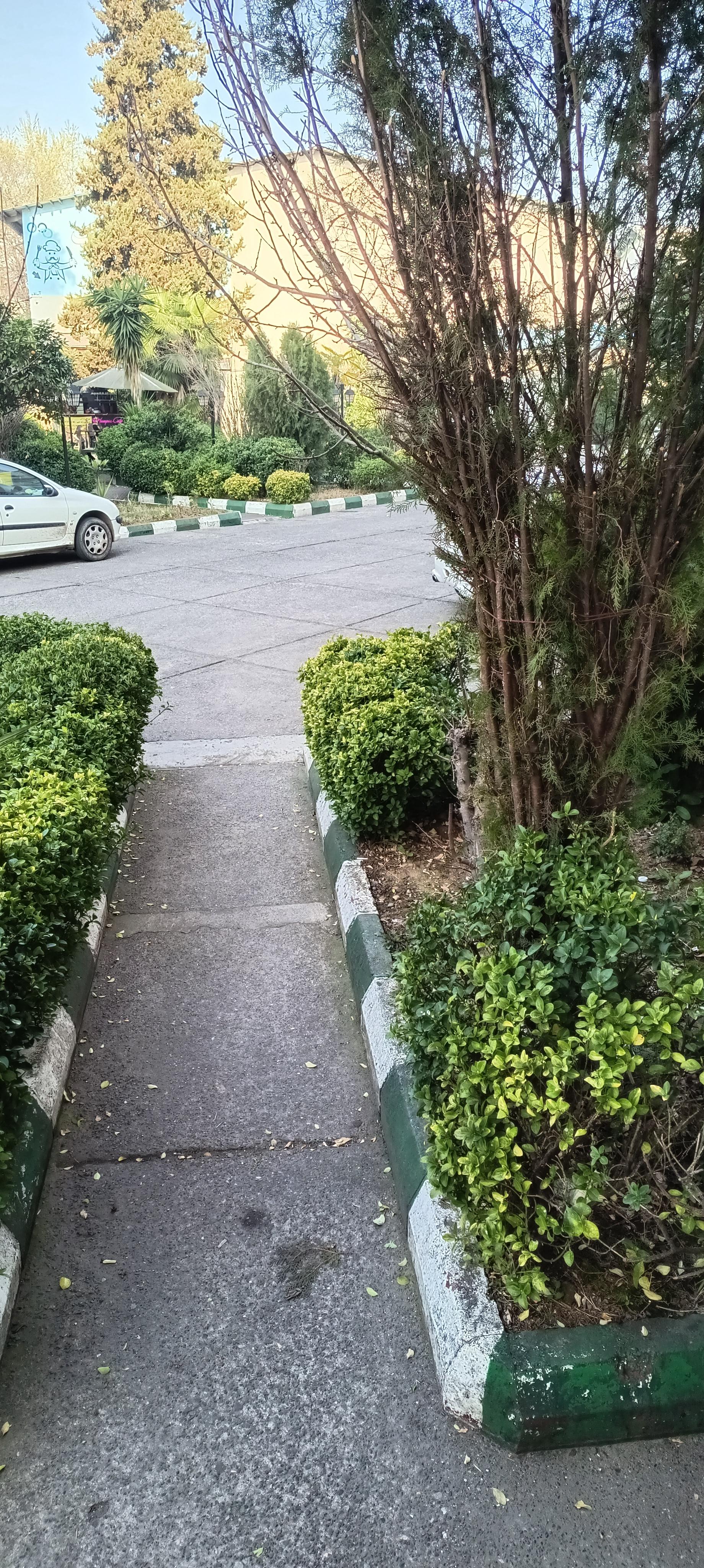 عکس مهمانسرای المپیک تربیت بدنی رشت