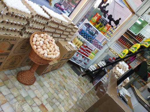 عکس مجتمع گوشتی آذر مرغ پریزاد