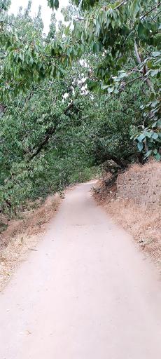 عکس آبشار سنگان