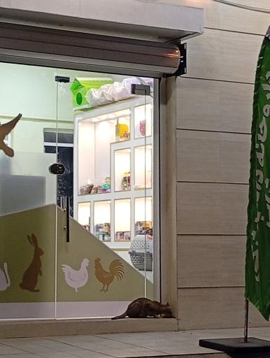 مجتمع دامپزشکی دکتر احمدیان