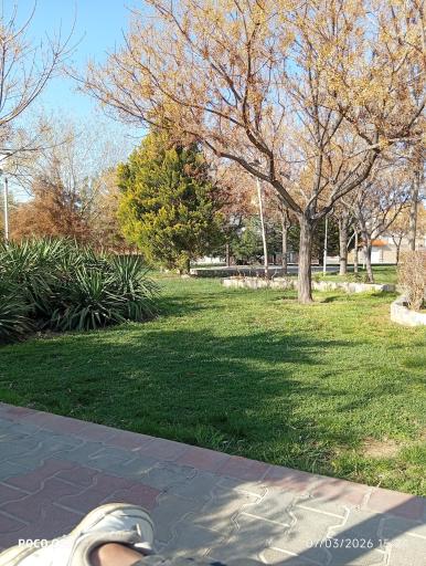 عکس بوستان کویر