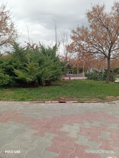 عکس بوستان کویر