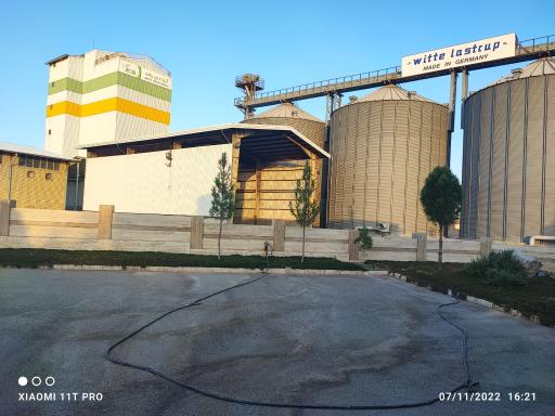 عکس آریا دان رشد