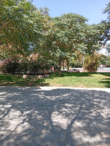 عکس بوستان کویر