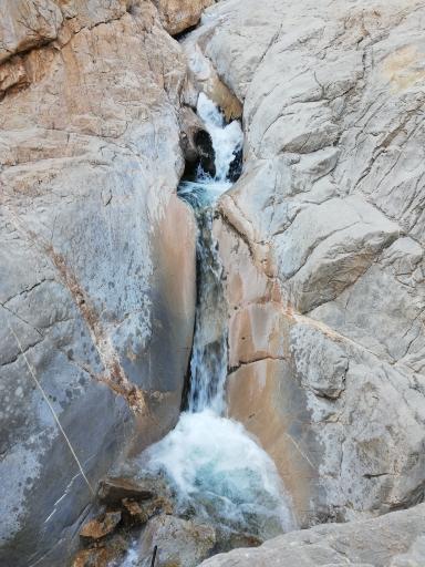 چشمه لاوی (لاوه)