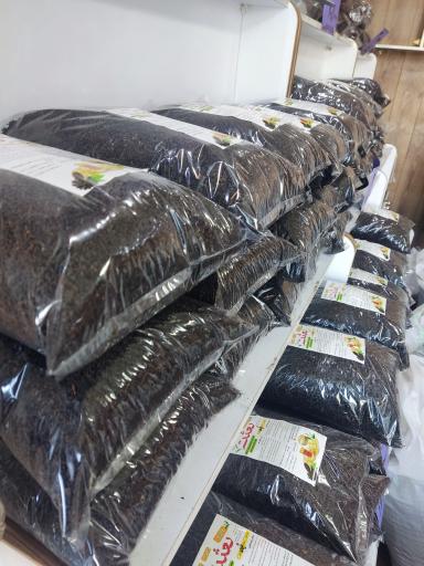 عکس فروشگاه چای لاهیجان