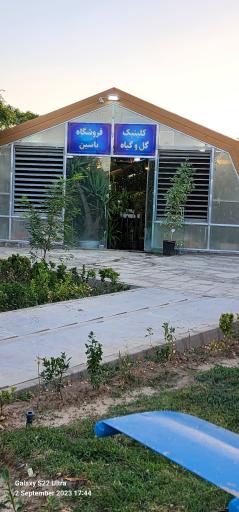 عکس کلینیک گل و گیاه یاسین 