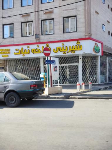 عکس شیرینی سرای شاخه نبات