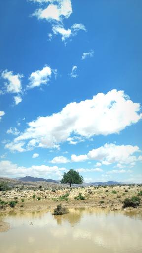 عکس جنت شهر