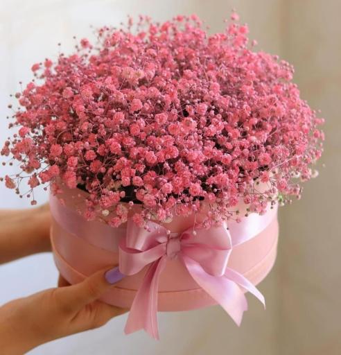 عکس گل فروشی گلکده گل یخ