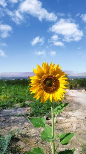 عکس جنت شهر