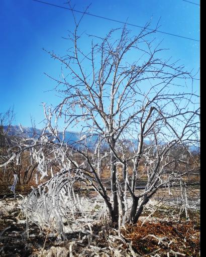 عکس جنت شهر