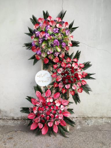 عکس گل فروشی گلکده گل یخ