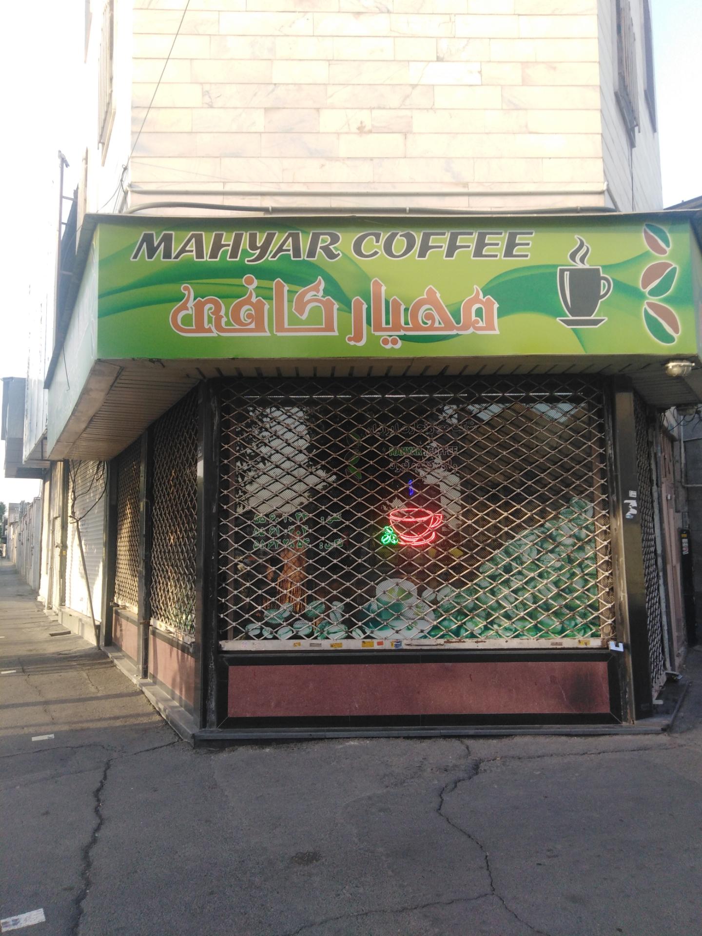 عکس مهیار کافی