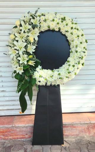 عکس گل فروشی گلکده گل یخ