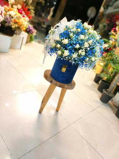 عکس گل فروشی گلکده گل یخ