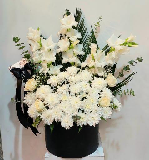 عکس گل فروشی گلکده گل یخ