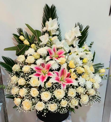 عکس گل فروشی گلکده گل یخ