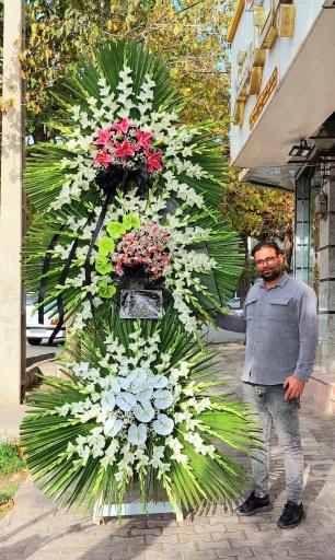 عکس گل فروشی گلکده گل یخ