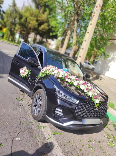 عکس گل فروشی گلکده گل یخ