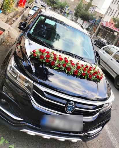 عکس گل فروشی گلکده گل یخ