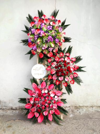 عکس گل فروشی گلکده گل یخ