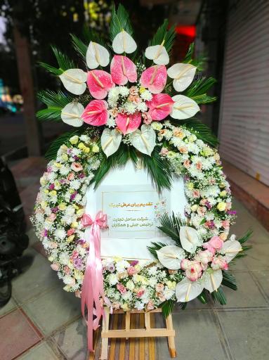 عکس گل فروشی گلکده گل یخ