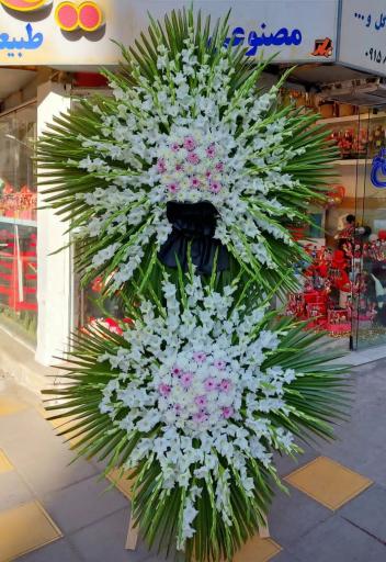 عکس گل فروشی گلکده گل یخ