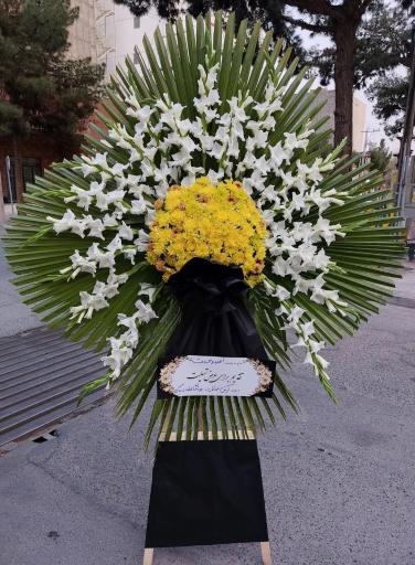 عکس گل فروشی گلکده گل یخ