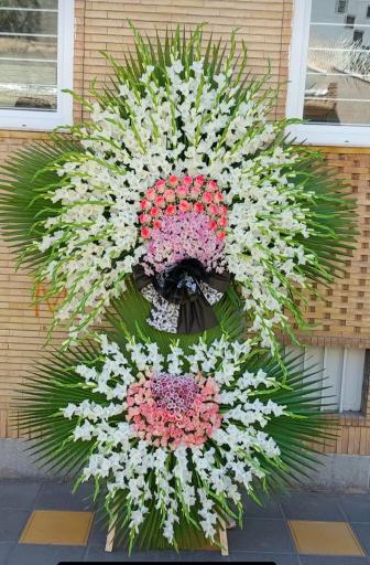 عکس گل فروشی گلکده گل یخ